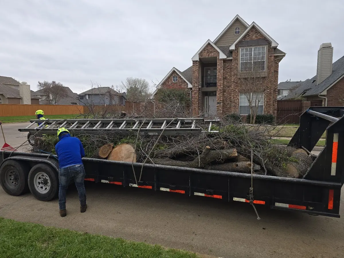 Expert Tree Fertilization with proper safety equipment in Bluffton